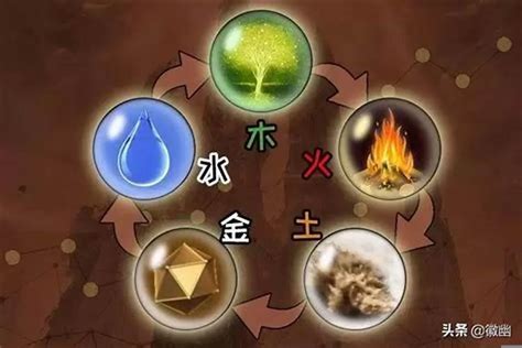 金木水火土|「万物类象」金、水、木、火、土五行取象